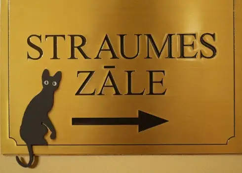 "Oskaru" godinātā “Straume” iedvesmo jaunu kino telpu – atklāta Straumes zāle