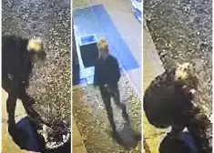 Ķengaragā uzdarbojies Grinčs - kāda sieviete no košumkrūmiem nozagusi gaismiņu virtenes, kamēr viņas kompanjons stāvēja uz vakts. VIDEO