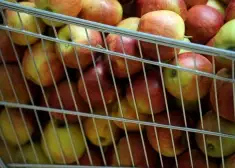 Eiropā pārdoto ābolu analīze atklāj biedējošu ainu; vides aizsardzības organizācijas brīdina patērētājus