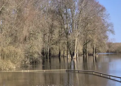 Izteka no Lubāna ezera