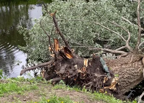 Rīgas kanālā iegāzusies vairāk nekā 100 gadus veca apse